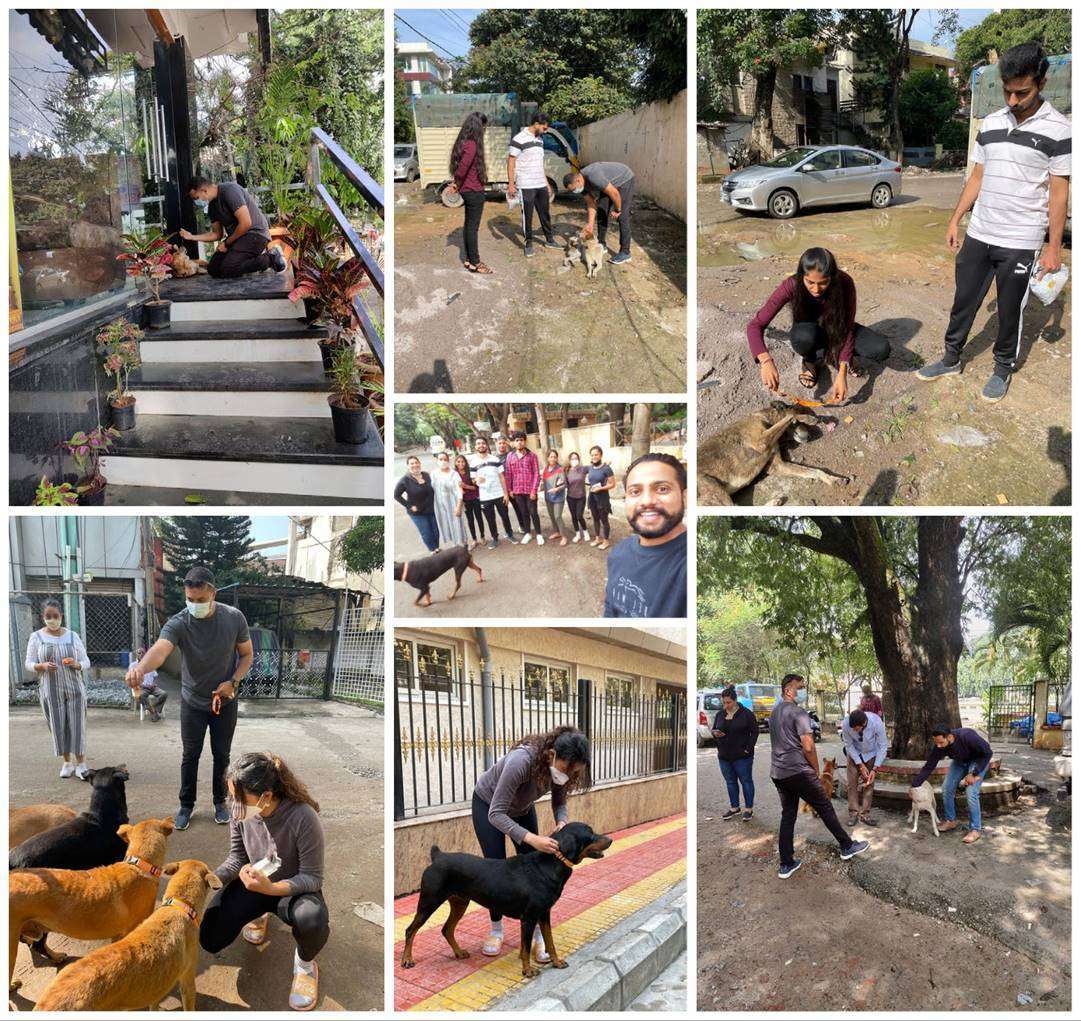 Reflective Collar Drive Rotary Bangalore Indiranagar